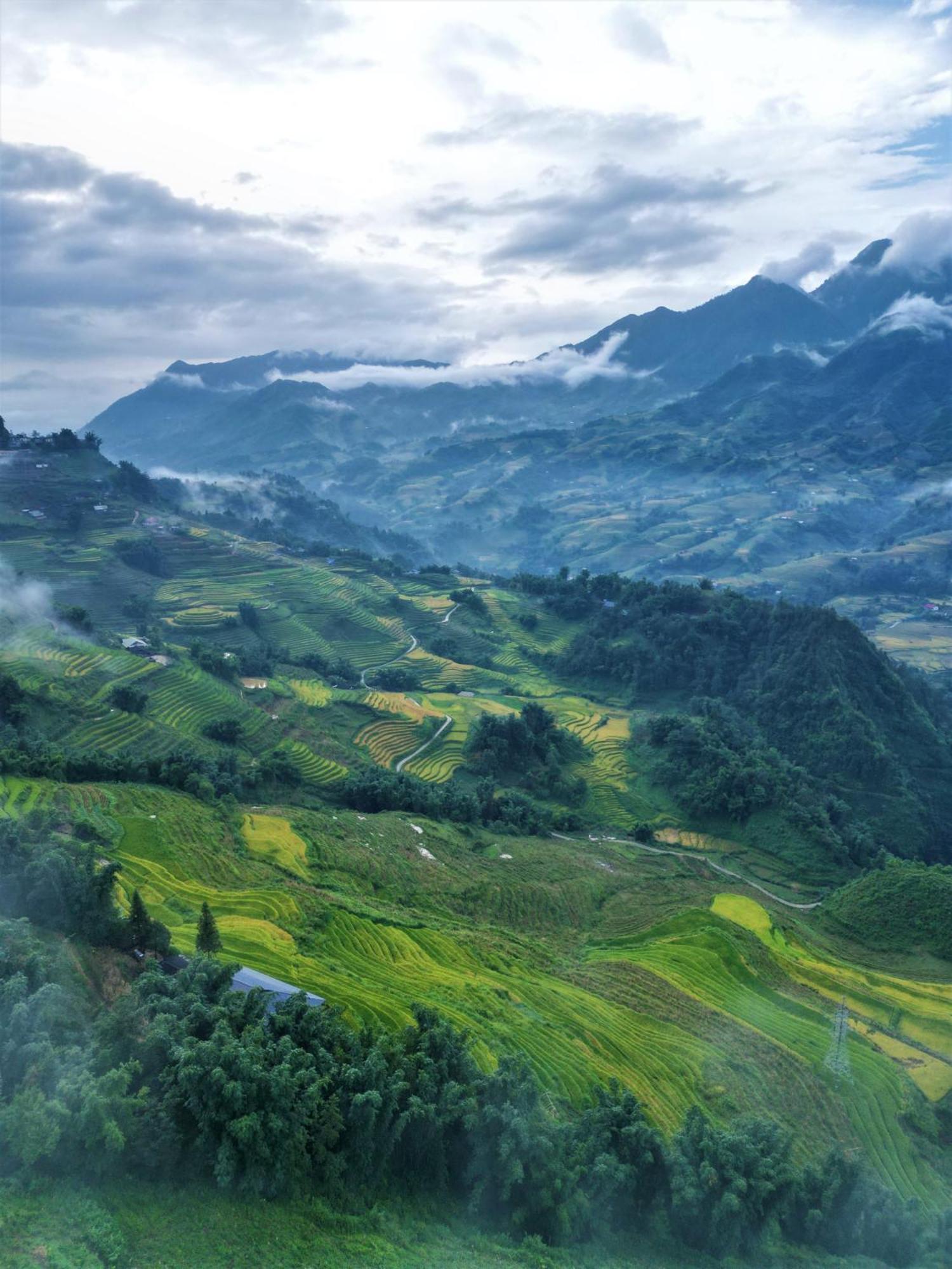 Phansi - Glamping, View Point 360, Bar & Bbq Sapa Exteriör bild